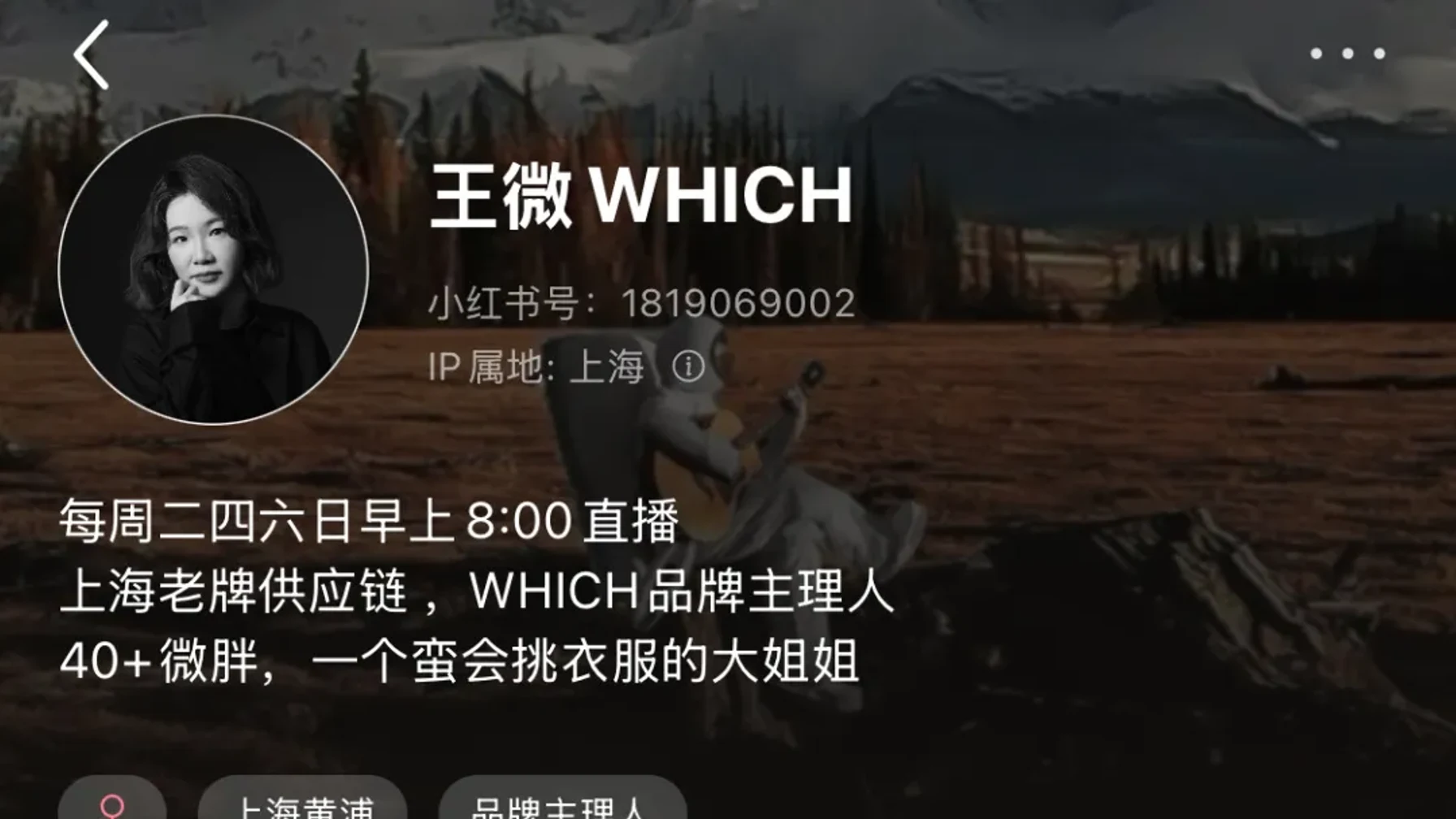 Positioning shown on the Xiaohongshu profile of Wang Wei WHICH